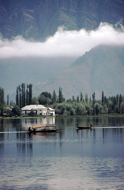 Shikaras (a sort of water taxi) on Dal Lake in Kashmir, India